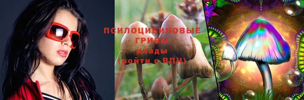 экстази Алексин