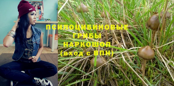 экстази Алексин