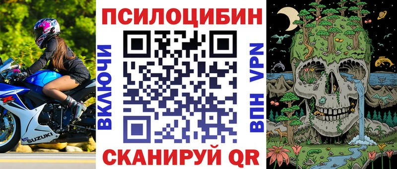 закладки  Уварово  KRAKEN как войти  Галлюциногенные грибы MAGIC MUSHROOMS 