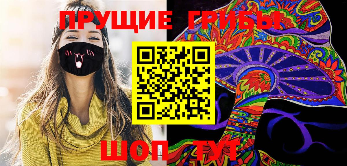 Псилоцибиновые грибы Psilocybe Уварово